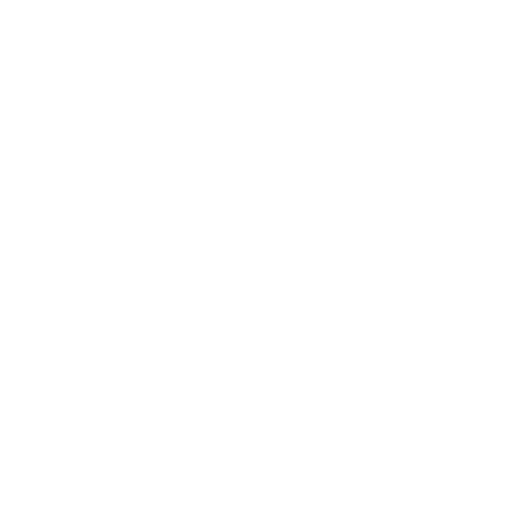 chevron right icon