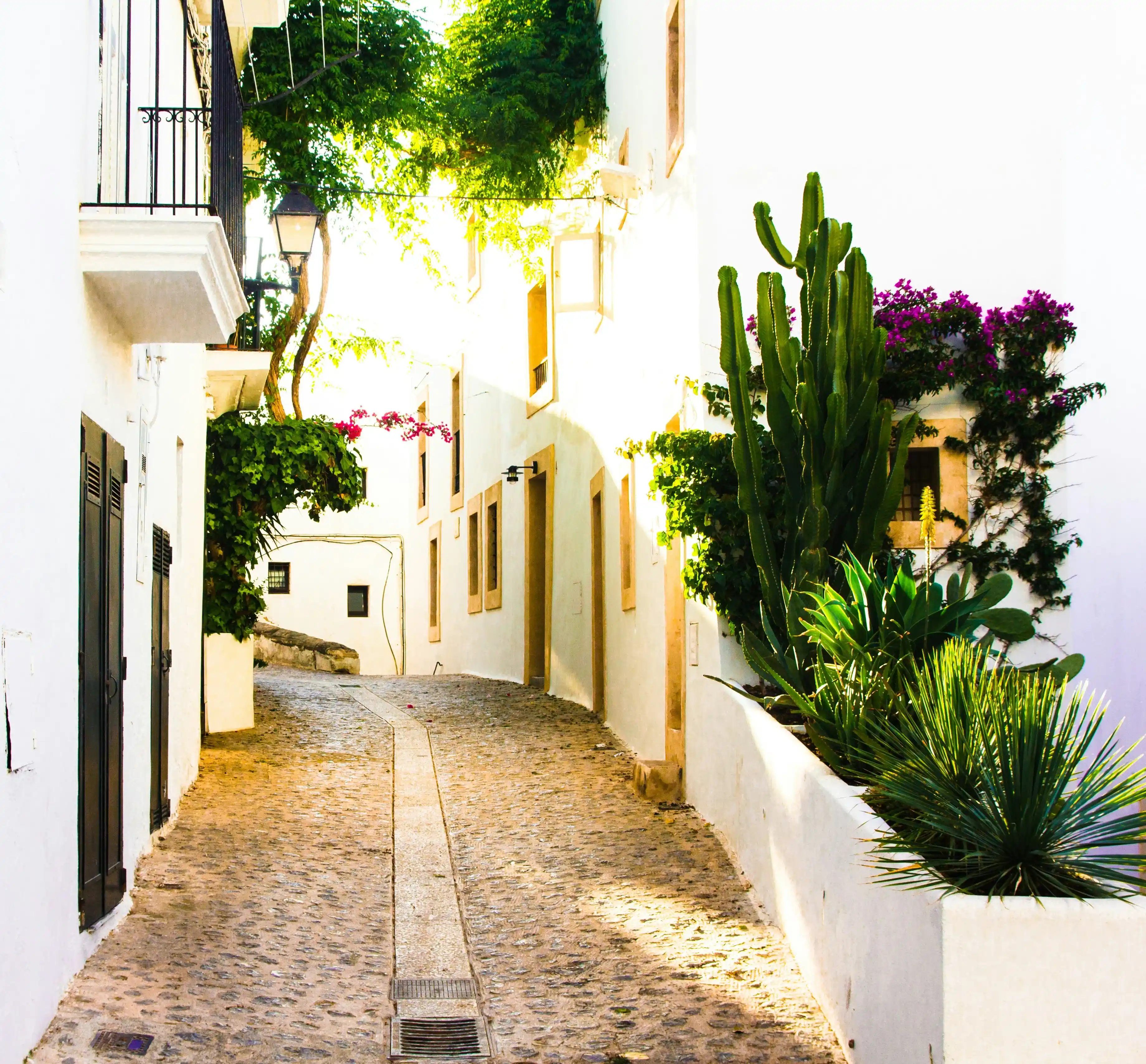 Dalt Vila