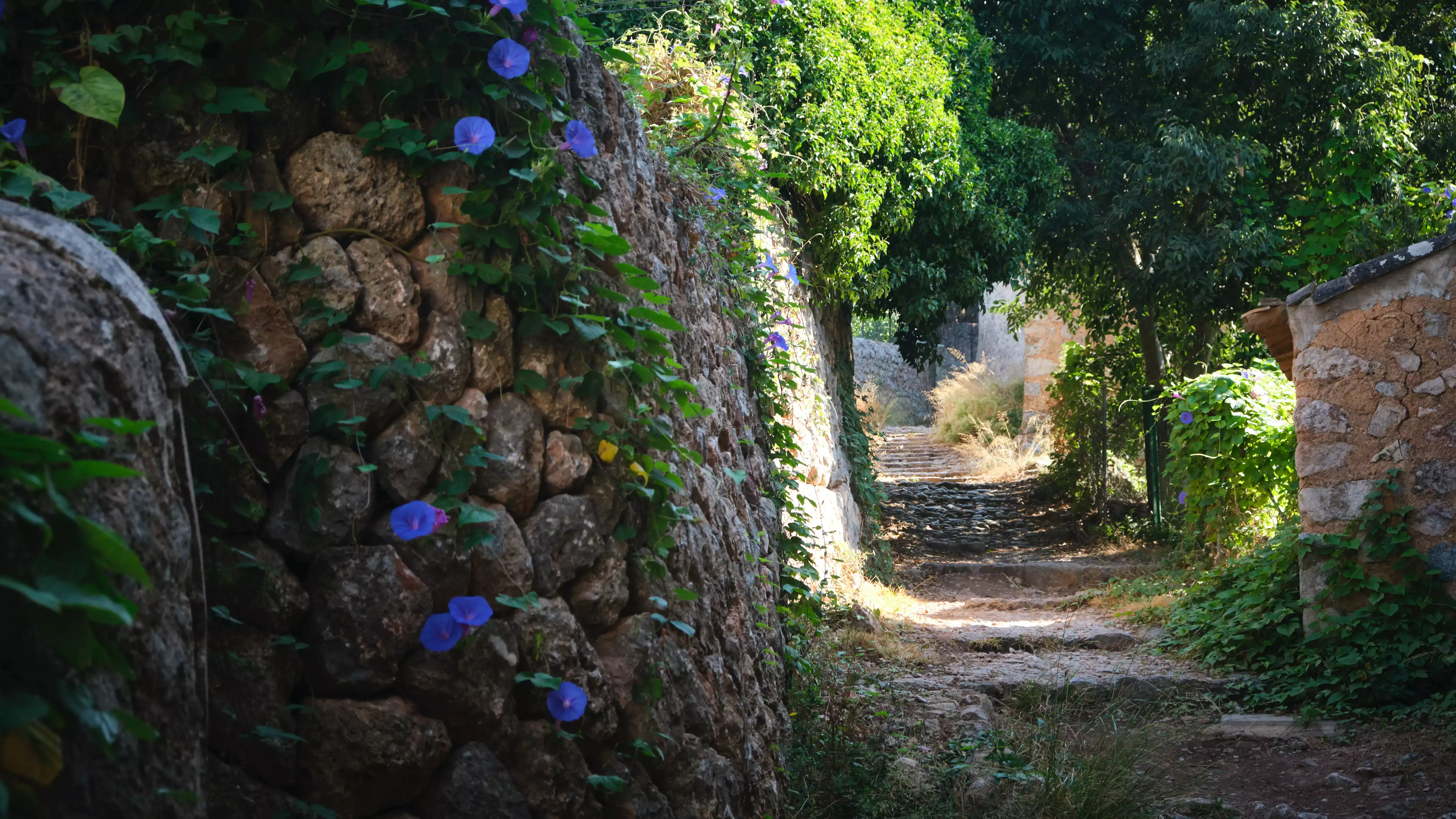 Serra de Tramuntana