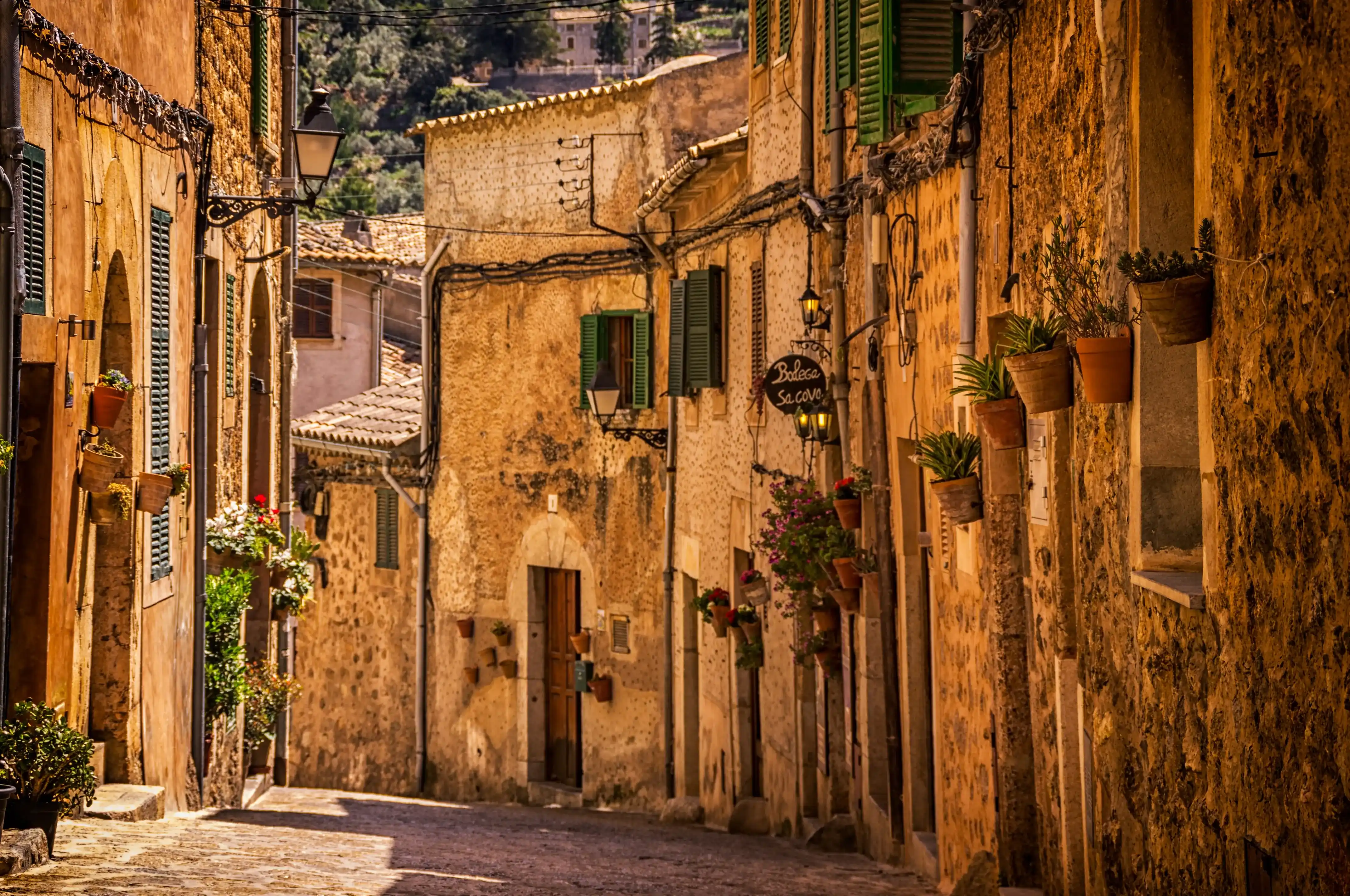 guide Valldemossa