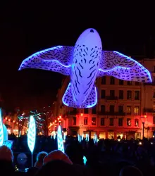 La fête des lumières à Lyon : Histoire et traditions